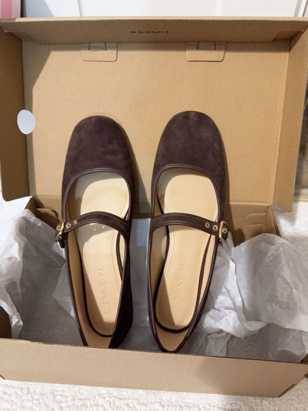 Coach Women's Brown Suede Mary Jane Flats